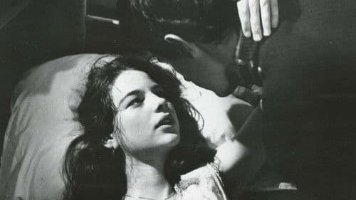 Insel der verbotenen Liebe Bild 1