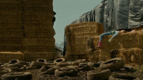 Rose à la ferme Bild 2