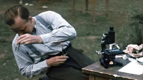 Panzerschokolade – Crystal Meth bei der Wehrmacht Bild 3