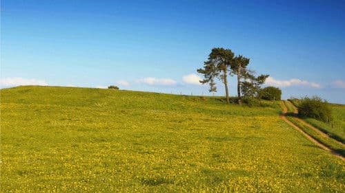 The Harmony Files Bild 4