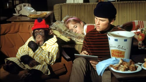 Der barfüßige Generaldirektor Bild 5