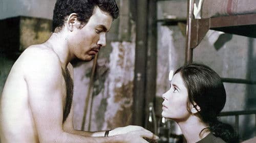 Elise oder das wahre Leben Bild 1