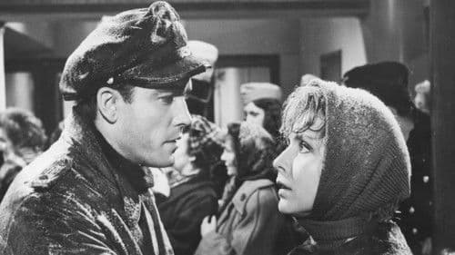 Nacht fiel über Gotenhafen Bild 3