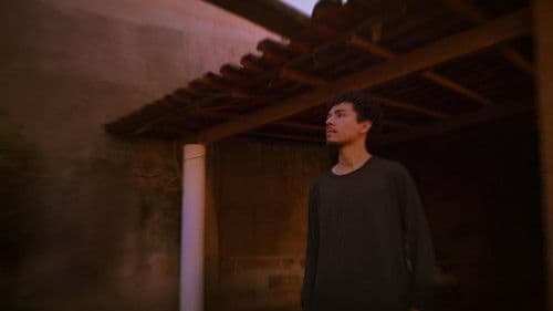 A Pílula Azul Bild 1