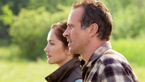 Away and Back - Der Weg der Schwäne Bild 2