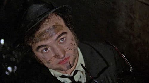 Blues Brothers Bild 7