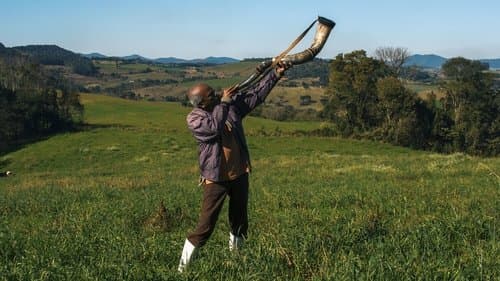 Casa de Antiguidades Bild 1