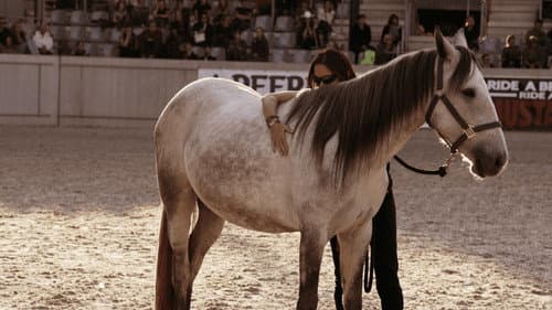 Aus Liebe zum Mustang Bild 1