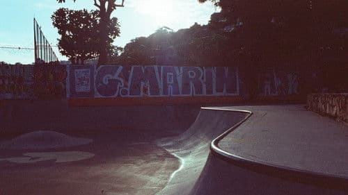 Marina Skatepark Bild 1