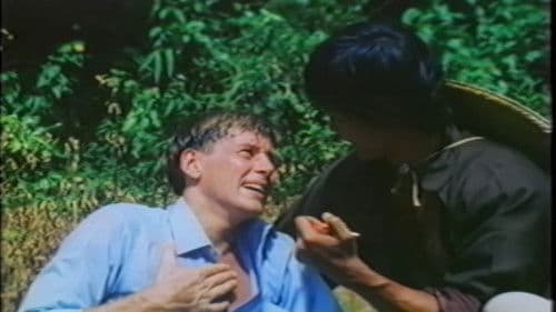 Das Vermächtnis der Ninja Bild 1