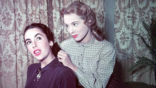 Kleine tapfere Jo Bild 4