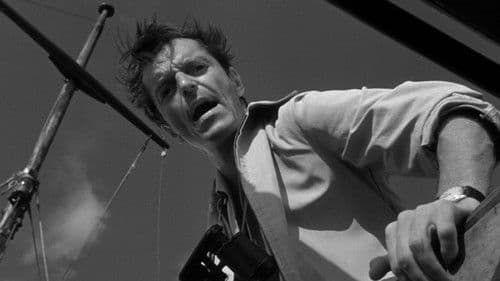 Sommernächte mit Manina Bild 2