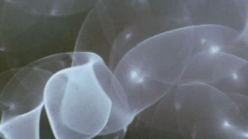 Comingled Containers Bild 5