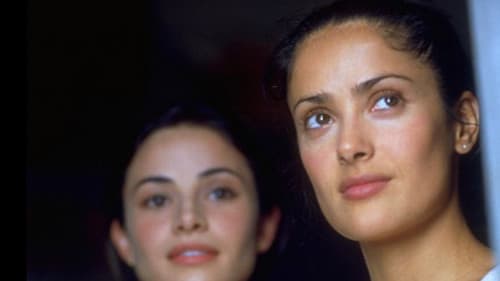 Die Zeit der Schmetterlinge Bild 2