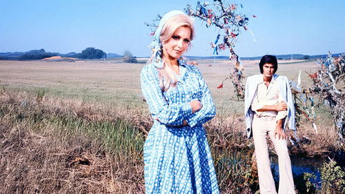 Tatlı Dillim Bild 5