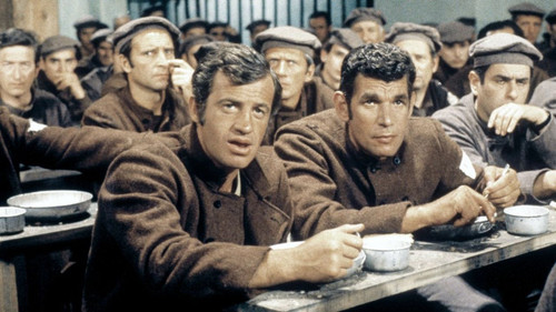 Der Mann aus Marseille Bild 6