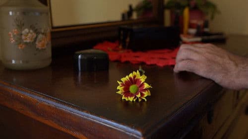 Antes da Primavera Bild 2