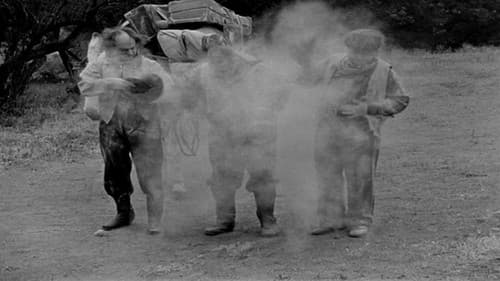 The Three Troubledoers Bild 3