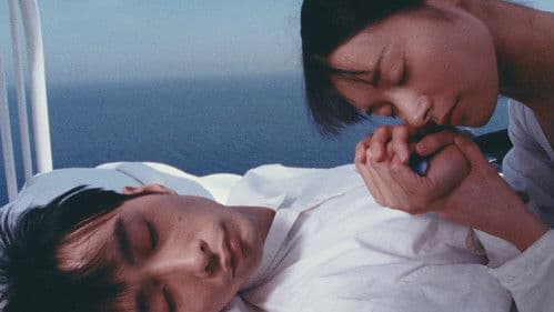 アンモナイトのささやきを聞いた Bild 2