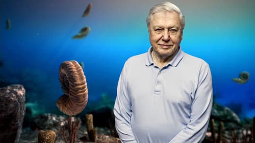 Der Ursprung des Lebens Bild 2