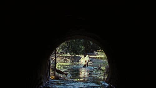 TDR - The Devil's Rejects Bild 8