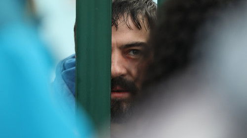 Amongst the Wolves Bild 4