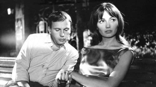 Verliebt in scharfe Kurven Bild 1