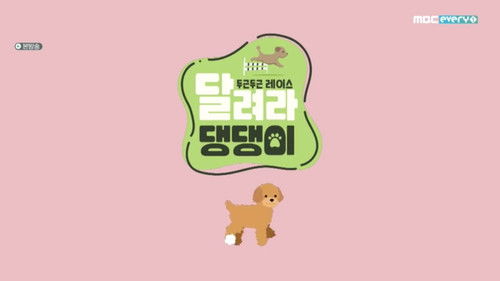 달려라 댕댕이 Bild 1