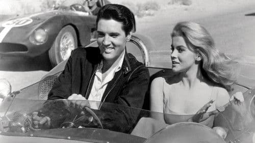 Tolle Nächte in Las Vegas Bild 4