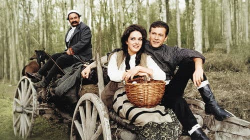 Senede Bir Gün Bild 4