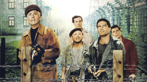 Geheimauftrag Dubrovnik Bild 3