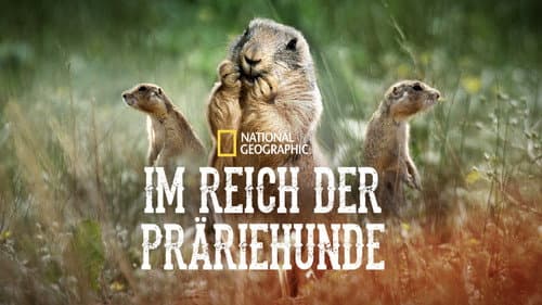 Im Reich der Präriehunde Bild 4