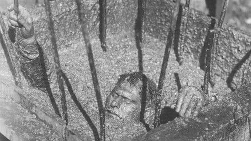 Haus der Sehnsucht Bild 1