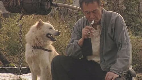 古船·女人和网 Bild 1