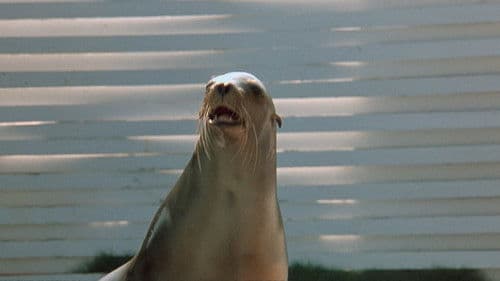 The Beast - Unheimliche Tiefe Bild 8