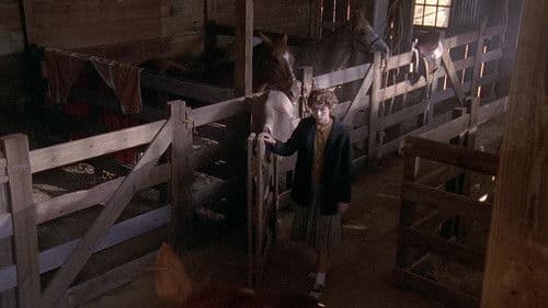 Du gehst nicht allein Bild 7