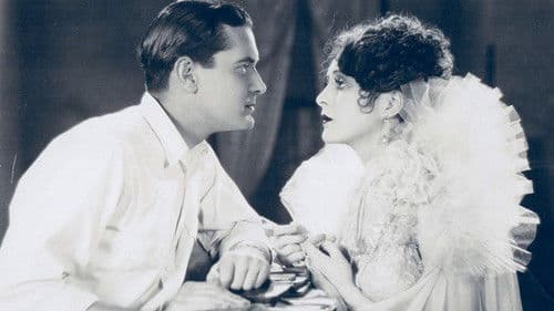 American Beauty Bild 1