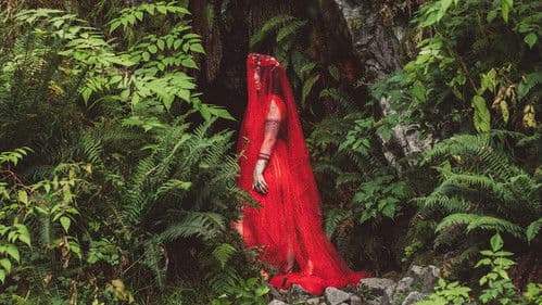 Persephone Returns Bild 2