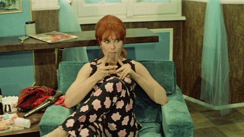 Die Nichten der Frau Oberst Bild 4