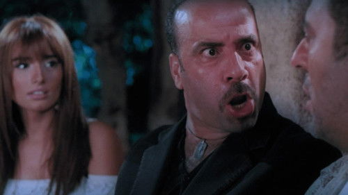 اللمبي 8 جيجا Bild 4