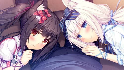 Nekopara OVA Bild 3