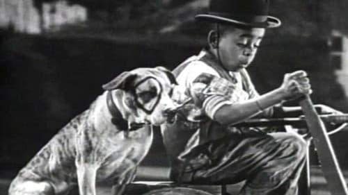 Das wilde Wagenrennen Bild 3