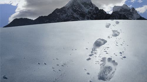 Hunt for the Abominable Snowman Bild 3