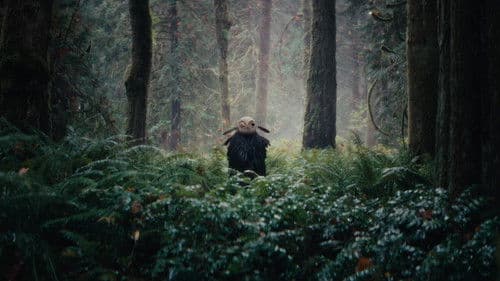 The Stolen Child Bild 2