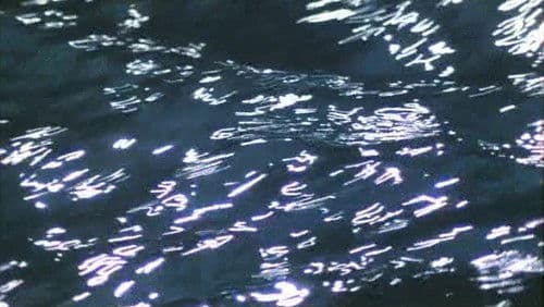 Il pianeta azzurro Bild 3