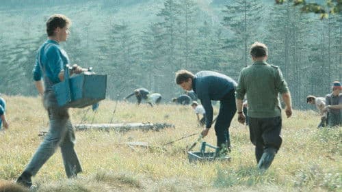 "Wer hat dich, du schöner Wald…" oder Wie ein Film verhindert wurde Bild 3