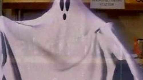 Winston, der Internetgeist Bild 3