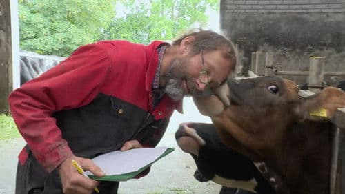 Veearts Maaike Bild 2