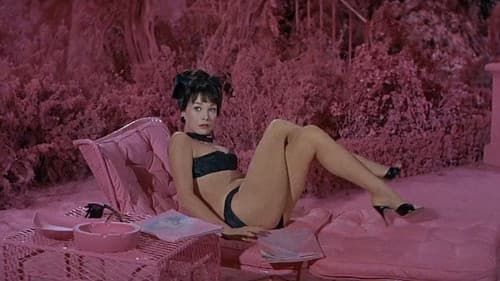 Immer mit einem anderen Bild 2