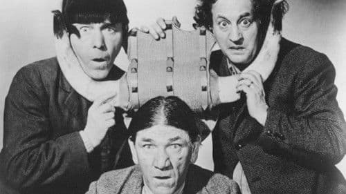 Pals and Gals Bild 1